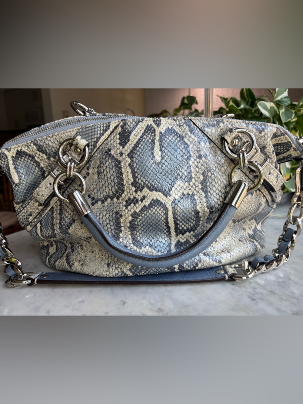 Coach Python-Print Leather Shoulder Bag in Blue, Gray and Cream - Picture 2 of 15